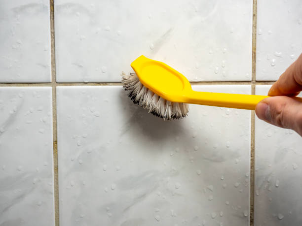 Best Professional Mold Removal  in Monroe Manor, NJ