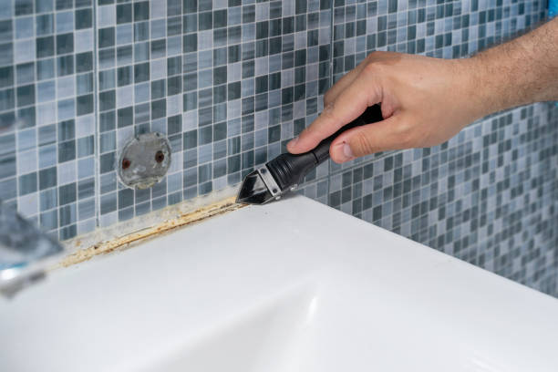 Best Attic Mold Removal  in Monroe Manor, NJ