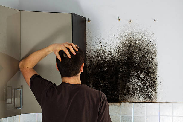 Best Mold Cleaning Services  in Monroe Manor, NJ