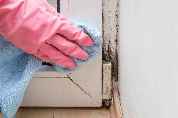 Best Emergency Mold Removal  in Monroe Manor, NJ